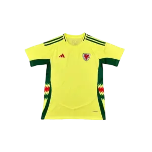 Camiseta Selección Gales - Eurocopa 2024 | Visitante