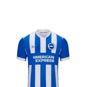 Camiseta Brighton & Hove Albion Football Club 2025/26